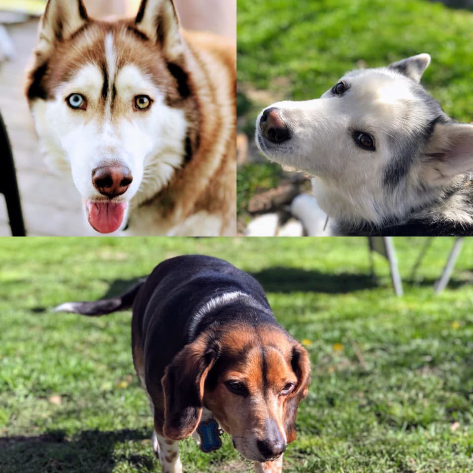 Those sweet faces!